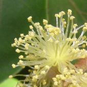 �A�J���K�V��