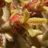 �A�J���K�V��