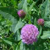 �A�J�c���N�T