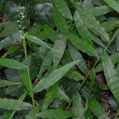 �`�a�~�U�T