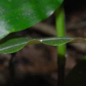 �`�a�~�U�T