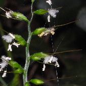 �`�a�~�U�T