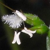 �`�a�~�U�T