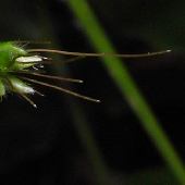 �`�a�~�U�T