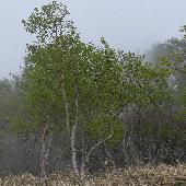 �_�P�J���o