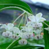 �t�E�Z���g�E���^