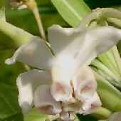 �t�E�Z���g�E���^