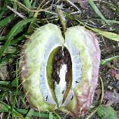 �t�E�Z���g�E���^