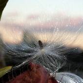 �t�E�Z���g�E���^