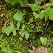 �n�N�T���n�^�U�I