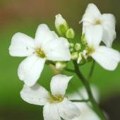 �n�N�T���n�^�U�I