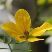 �n�}�Z���i