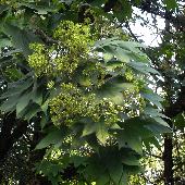 �n���M��