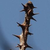 �n���M��