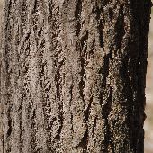 �n���M��