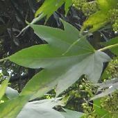 �n���M��