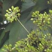 �n���M��