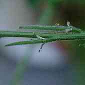 �J�L�l�K���V