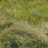 �z�\�o�q�J�Q�X�Q