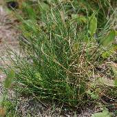 �z�\�o�q�J�Q�X�Q