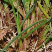 �z�\�o�q�J�Q�X�Q