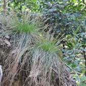 �q�J�Q�X�Q