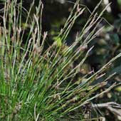 �q�J�Q�X�Q