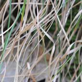 �q�J�Q�X�Q