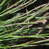 �q�J�Q�X�Q