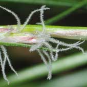 �q�J�Q�X�Q