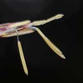 �q�J�Q�X�Q