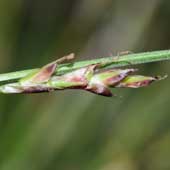 �q�J�Q�X�Q