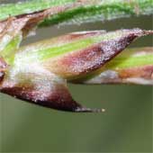 �q�J�Q�X�Q