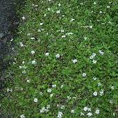 �q���C���_���\�E