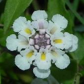 �q���C���_���\�E