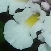 �q���C���_���\�E