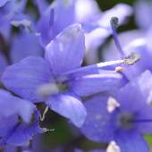 �q���g���m�I