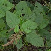 �z�i�K�C�k�r��