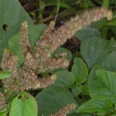 �z�i�K�C�k�r��