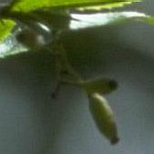 �q���n�m�w�r�m�{���Y