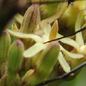 �z�E���C�J�K�~