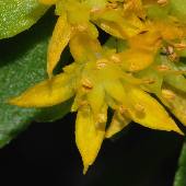 �z�\�o�m�L�����\�E