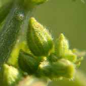 �J�i���O��"