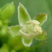 �J�i���O��"