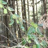 �L�W������