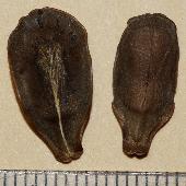 �L�W������