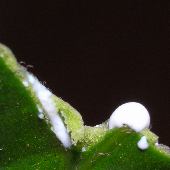 �L�W������