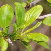 �N���c�o��