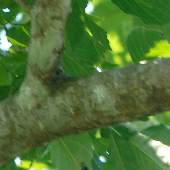 �N�����i