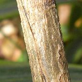 �����^�i